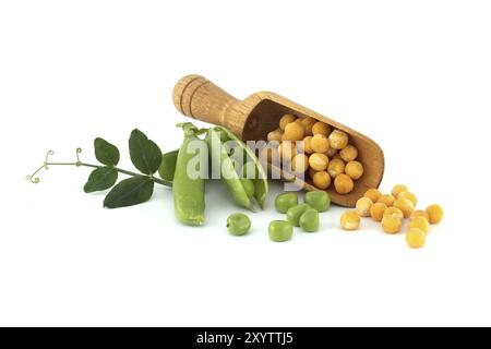 Yellow dried peas in wooden scoop near fresh green peas and pea pods with green leaf isolated on white background Stock Photo