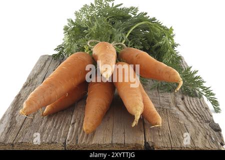 Bunch of fresh, orange carrots with green tops is neatly tied together using twine and positioned on an old, rustic wooden table Stock Photo