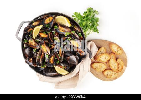 Marinara mussels, moules mariniere, overhead shot in a cooking pan with toasted bread and fresh parsley on a white background with copyspace Stock Photo