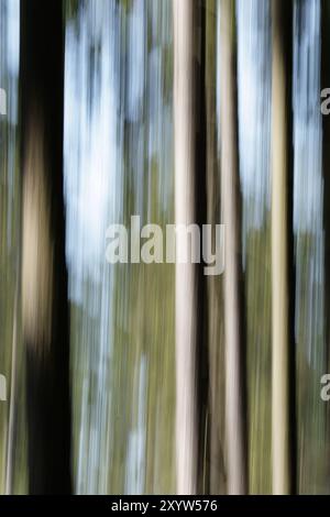 Springtime in a forest, motion blur due to long exposure. Abstract picture of a forest in springtime, motion blur due to long exposure Stock Photo