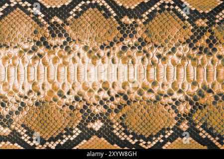 Genuine reptile skin as background, brown snakeskin texture Stock Photo