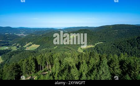 View from the Buchkopf tower in Oppenau-Maisach Black Forest Germany. Baden Wuerttemberg, Germany, Europe Stock Photo