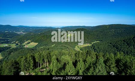 View from the Buchkopf tower in Oppenau-Maisach Black Forest Germany. Baden Wuerttemberg, Germany, Europe Stock Photo