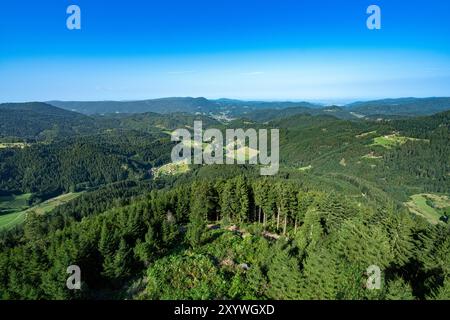 View from the Buchkopf tower in Oppenau-Maisach Black Forest Germany. Baden Wuerttemberg, Germany, Europe Stock Photo