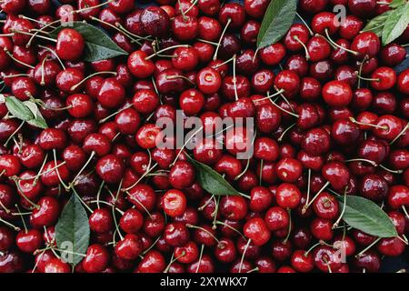 Flat lay background with heap of fresh red sweet cherry and green leaves. Eco farm food cultivation. Healthy eating lifestyle concept. Stock Photo