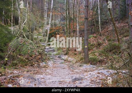 Wanderweg im Elbsandsteingebirge, Wanderweg im Elbsandsteingebirge im Herbst Stock Photo