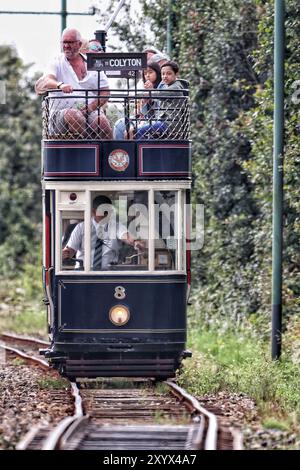 Seaton Wetlands, Devon, UK. 31st Aug, 2024. UK Weather: All Aboard! Trams running on Seaton tramway on a mild morning at Seaton Wetlands, Devon Credit: nidpor/Alamy Live News Stock Photo