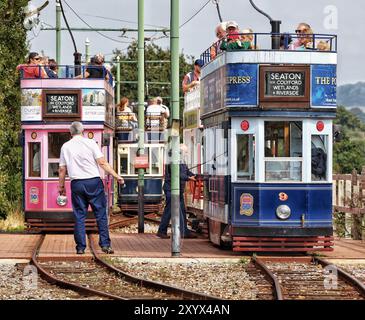 Seaton Wetlands, Devon, UK. 31st Aug, 2024. UK Weather: All Aboard! Trams running on Seaton tramway on a mild morning at Seaton Wetlands, Devon Credit: nidpor/Alamy Live News Stock Photo