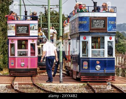 Seaton Wetlands, Devon, UK. 31st Aug, 2024. UK Weather: All Aboard! Trams running on Seaton tramway on a mild morning at Seaton Wetlands, Devon Credit: nidpor/Alamy Live News Stock Photo