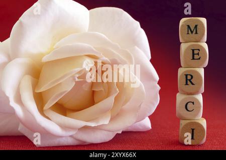 Message Merci, french word, which means thanks, written in wooden blocks, pastel rose, red background Stock Photo