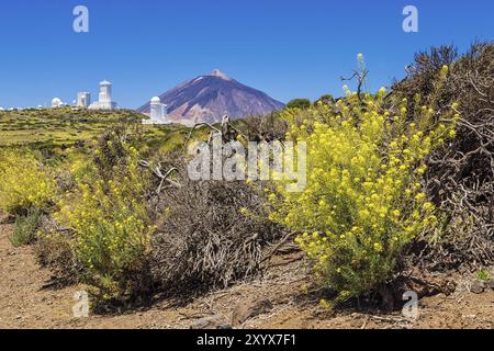 The Teide volcano on Tenerife Stock Photo