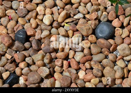 Small colorful pebble stones to decorate garden in Thiruvananthapuram, Kerala, India Stock Photo