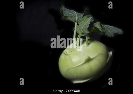 Kohlrabi on a black background Stock Photo