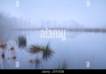 Lake in forest covered with dense fog in autumn Stock Photo