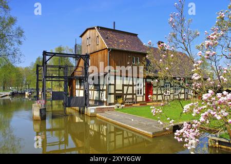 Radduscher Buschmuehle in the Spreewald in spring, Raddusch Mill, Spree Forest in spring, Brandenburg Stock Photo