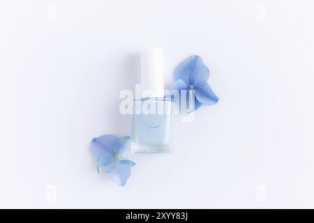 Flat lay with hortensia blue petals with blue nail polish in a transparent glass bottle on white background. Natural manicure and pedicure concept Stock Photo