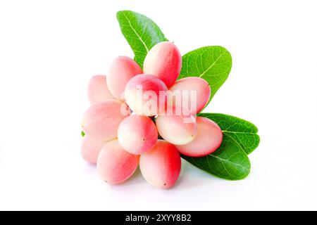 carissa carandas with leaves on white background. Stock Photo