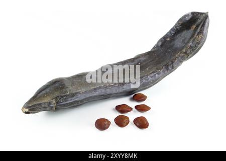 Dried carob pod or St. John's bread and seeds, isolated on white background Stock Photo