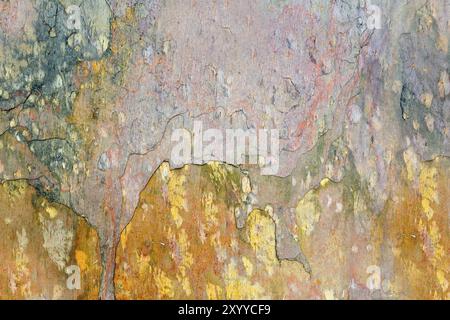 Coloured structure as background Stock Photo