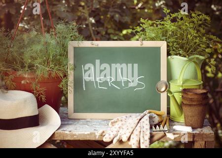 Small square chalkboard with inscriptions Herbs on wooden table among green plants in clay pots straw hat and metal watering can Stock Photo