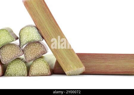 Variety of rhubarb stalks of varying colors from pale green to deep red isolated on white background, health benefits of eating rhubarb Stock Photo