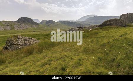 Snowdonia landscape near Blaenau Ffestiniog, the view from Moel yr Hydd, Gwynedd, Wales, UK Stock Photo