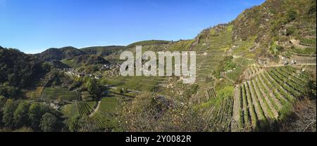 Panorama of the vineyards in the Ahr valley on the red wine hiking trail near Mayschoss Stock Photo