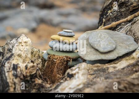 A stone pile on a tree trunk, with the blurry background of Cocklawburn Beach near Berwick-upon-Tweed in Northumberland, England, UK Stock Photo