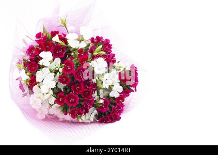 Bouquet of Carnation (Dianthus chinensis) flowers closeup, white and red isolated on white Stock Photo