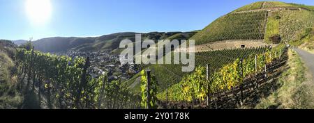 Panorama of the vineyards in the Ahr valley on the red wine hiking trail near Mayschoss Stock Photo