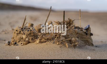 A sandcastle on the the beach in Great Yarmouth, Norfolk, England, UK Stock Photo