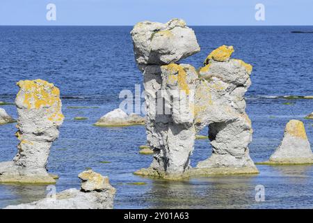 Gamla hamn in sweden on the island gotland. Morning, coastline. The limestone cliffs of Gamle hamn on Gotland Stock Photo