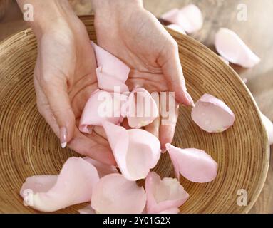 Beautiful hands of the woman and rose petals. Spa or manicure concept Stock Photo