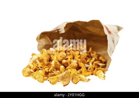 Fresh chanterelles isolated on white background Stock Photo