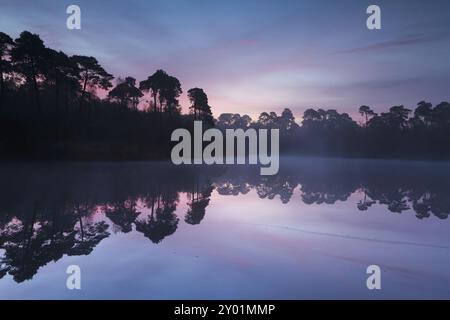 Autumn sunrise over wold lake in forest, Netherlands Stock Photo