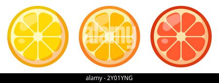 Three different citrus slices. Vector illustration. Stock Vector
