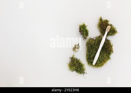 Bath accessories flay lay, isolated wooden tooth brush on white background with green moss as natural concept Healthcare, eco, zero waste, reusable, p Stock Photo