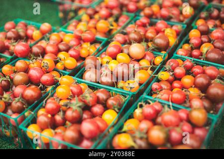 A view of several cartons full of colorful cherry tomatoes. Stock Photo