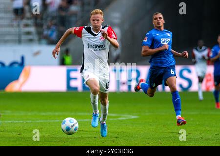 Hugo Larsson (Eintracht Frankfurt, #16) am Ball, dahinter Grischa Proemel (TSG 1899 Hoffenheim, #06),  GER, Eintracht Frankfurt vs. TSG 1899 Hoffenheim, Fussball, 1. Bundesliga, 2. Spieltag, Saison 2024/2025, 31.08.2024  DFL REGULATIONS PROHIBIT ANY USE OF PHOTOGRAPHS as IMAGE SEQUENCES and or QUASI-VIDEO.  Foto: Eibner-Pressefoto/Florian Wiegand Stock Photo