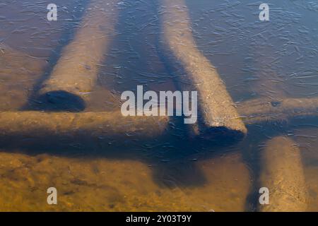 Sunken logs are piled up at the bottom of the river. Silt has accumulated on them. The surface of the water is covered with thin ice. Stock Photo