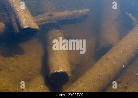 Sunken logs are piled up at the bottom of the river. Brown silt has accumulated on them. The surface of the water is covered with thin ice. Stock Photo