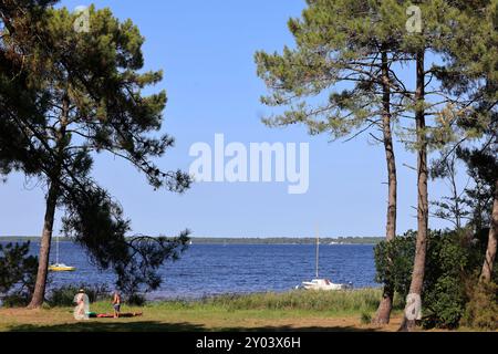 On the shores of Lake Lacanau, part of the Great Landes Lakes in southwestern France. Lacanau, Gironde, France, Europe. Photo by Hugo Martin/Alamy. Stock Photo