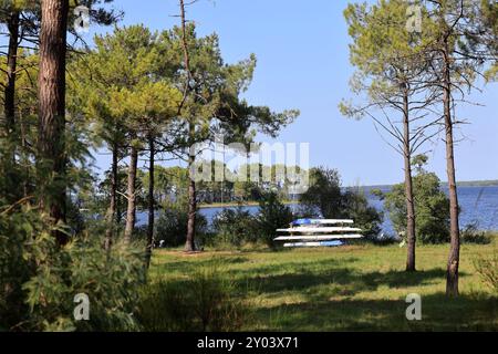 On the shores of Lake Lacanau, part of the Great Landes Lakes in southwestern France. Lacanau, Gironde, France, Europe. Photo by Hugo Martin/Alamy. Stock Photo