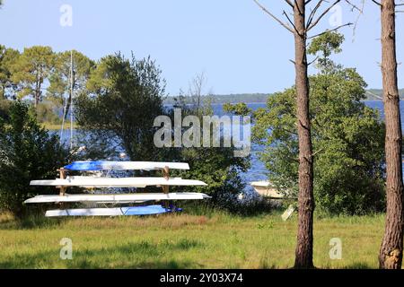 On the shores of Lake Lacanau, part of the Great Landes Lakes in southwestern France. Lacanau, Gironde, France, Europe. Photo by Hugo Martin/Alamy. Stock Photo