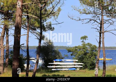 On the shores of Lake Lacanau, part of the Great Landes Lakes in southwestern France. Lacanau, Gironde, France, Europe. Photo by Hugo Martin/Alamy. Stock Photo