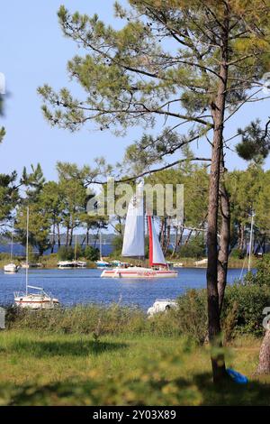 On the shores of Lake Lacanau, part of the Great Landes Lakes in southwestern France. Lacanau, Gironde, France, Europe. Photo by Hugo Martin/Alamy. Stock Photo