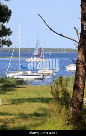 On the shores of Lake Lacanau, part of the Great Landes Lakes in southwestern France. Lacanau, Gironde, France, Europe. Photo by Hugo Martin/Alamy. Stock Photo