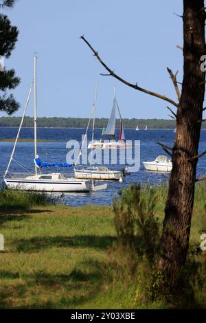 On the shores of Lake Lacanau, part of the Great Landes Lakes in southwestern France. Lacanau, Gironde, France, Europe. Photo by Hugo Martin/Alamy. Stock Photo