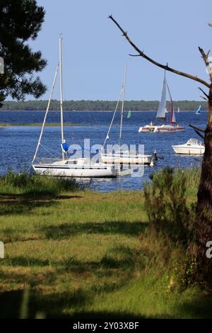 On the shores of Lake Lacanau, part of the Great Landes Lakes in southwestern France. Lacanau, Gironde, France, Europe. Photo by Hugo Martin/Alamy. Stock Photo