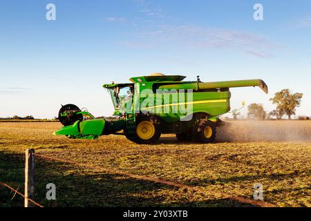 Combine harvester turning. Modern industrial combine harvester harvesting in a soybean field. Stock photo in horizontal banner format. Stock Photo